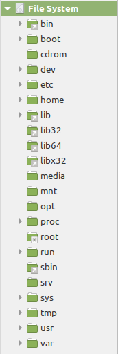 File System Tree