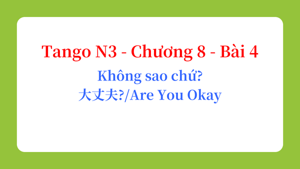 Tango N3 - Chương 8 - Bài 4: Không sao chứ? 大丈夫？ / Are You Okay