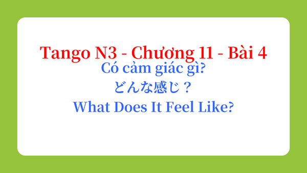 Tango N3 - Chương 11 - Bài 4: Có cảm giác gì? どんな感じ？ / What Does It Feel Like?